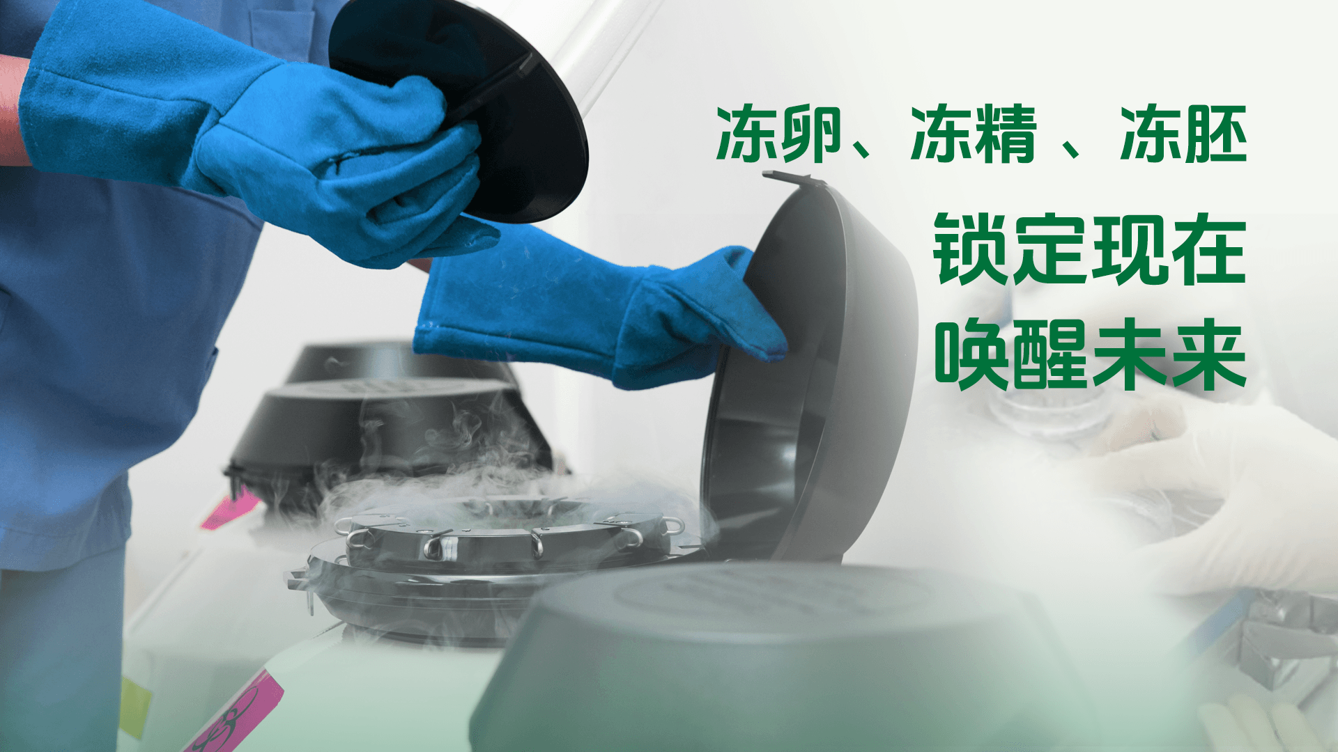 冻卵、冻精、冻胚